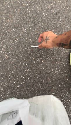 今日は『ゴミゼロの日』の記事動画