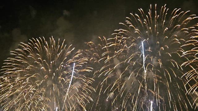 長岡花火大会　ツアーアドバイスの記事動画