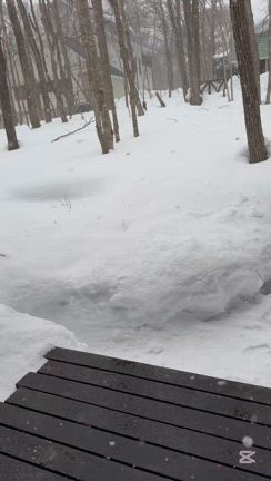 現在の記事動画