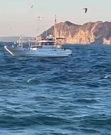 休み明けの記事動画