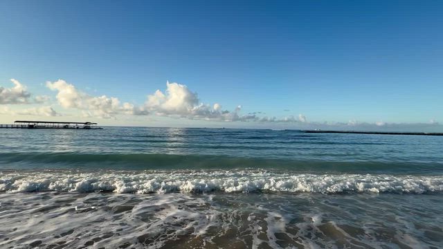 朝の海の記事動画