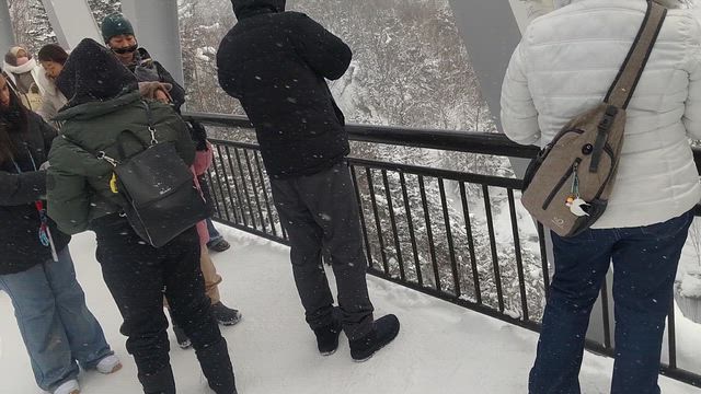 北海道へ帰省！の記事動画