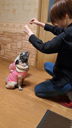 ご褒美システム追加！の記事動画