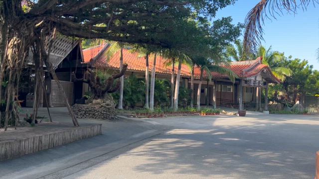 琉球村2024の記事動画