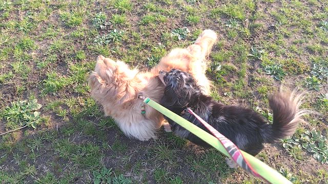 今日も暖かい☆の記事動画