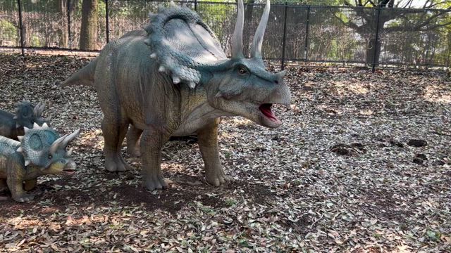 大恐竜パーク in とちぎわんぱく公園の記事動画