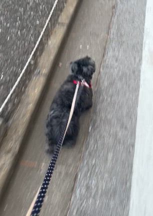 朝の過ごし方の記事動画