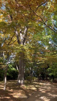 距離感がつかめない…近づきすぎて疲れる・離れすぎて苦しい人間関係の特徴と抜け出し方の記事動画