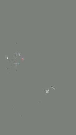 思い立って韓国　①の記事動画