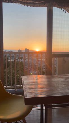 ７月30夕陽みたらクシャミの記事動画