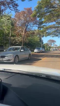 洪水のあと~マノアの記事動画