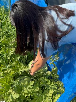 2025/08/09の記事動画