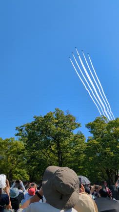 ブルーインパルス再びの記事動画