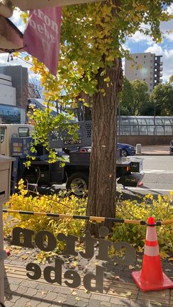 神戸パーソナルカラー診断シトロンベベです。第3042回『シトロンデー♪』の記事動画