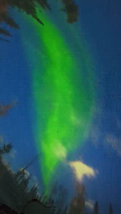 2025/11/01の出勤★はっぱの記事動画