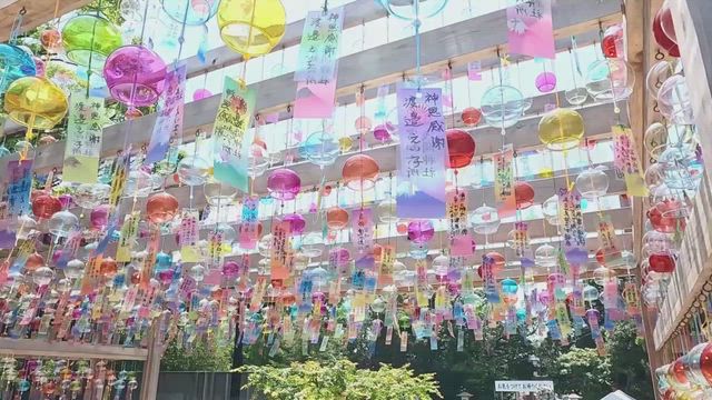 A for-Real スケジュールの記事動画