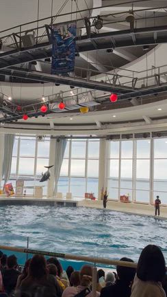 大洗水族館【自閉症児育児】の記事動画