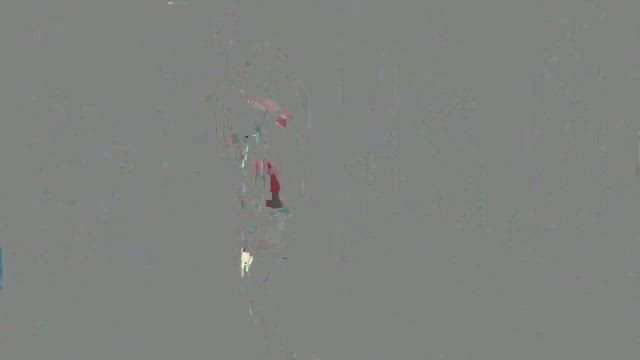 みちのくレコードIn庄内の記事動画