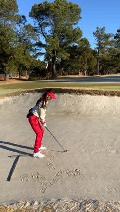 2605 スイスの学友との会話にて...＆健康だからできるゴルフ＆一番美味しいいちごの記事動画