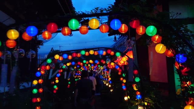 おふさ観音　風鈴祭り　ライトアップの記事動画