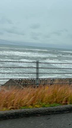 雨ばっかの記事動画