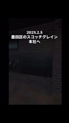 2025/02/05の記事動画