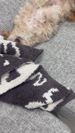 まるで人間の記事動画