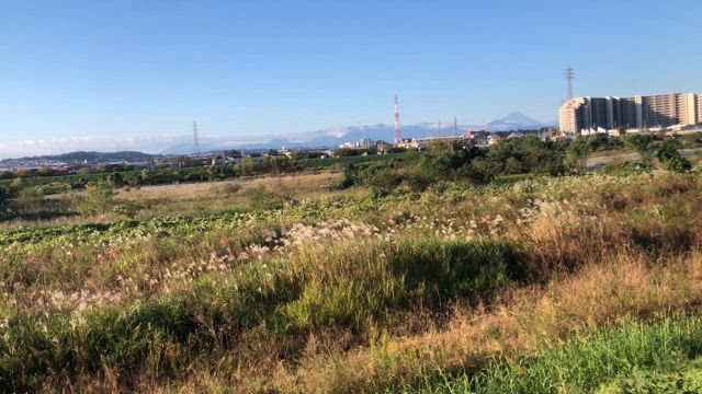 OB会　2024秋の記事動画