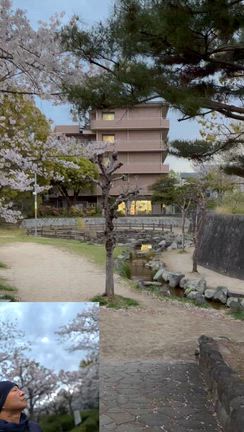 桜ラン‼️の記事動画