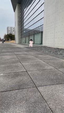 千葉方面Gハヤシライスなどなどの記事動画