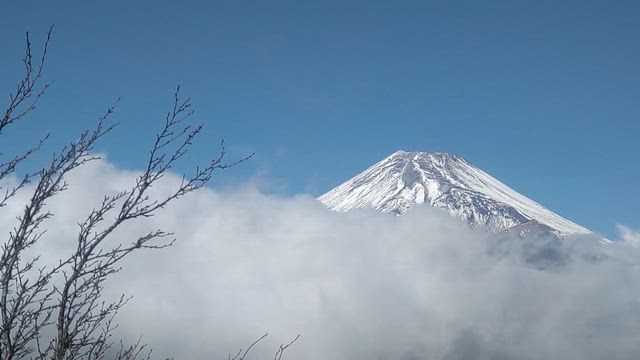 ﾟ ｡:.ﾟヽ(*´∀`)ﾉﾟ.:｡ ﾟわぁ～♡の記事動画