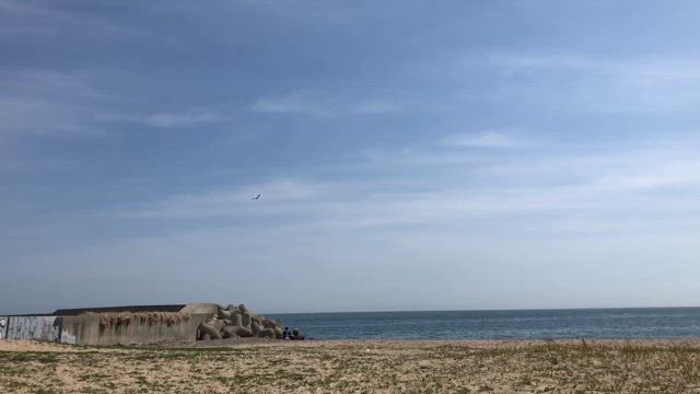 海への記事動画