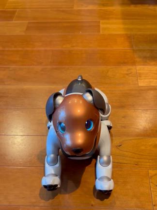 ベル退院の記事動画