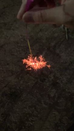 お月様と花火の記事動画