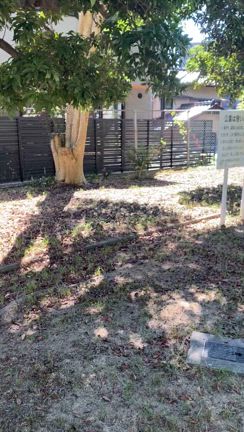 中々ヘトヘトになりますの記事動画