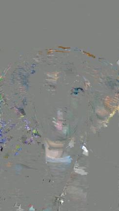 【ギフトを素直に受け取れなかった私が・・・】神さまの島「大三島」で過ごした不思議な旅の記事動画