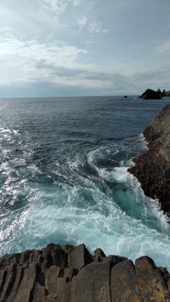 海中に姿を現した魚影　最初の強い引きに耐え、魚は沖に走り出す！の記事動画