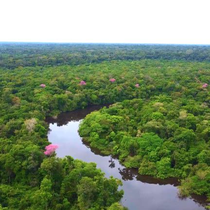 明けまして、おめでとうございます‼️の記事動画