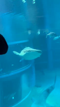 2月9日(金)出勤スタッフの記事動画