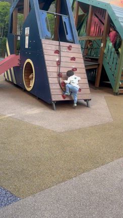 2歳児がハマってる事の記事動画