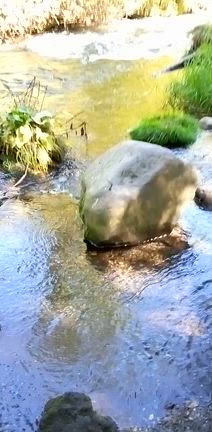 【小さな旅】　軽井沢（5）終わりの記事動画