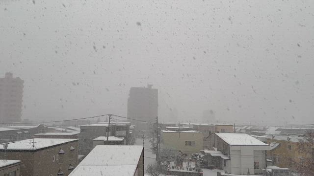 荷物が先に届いた♪の記事動画