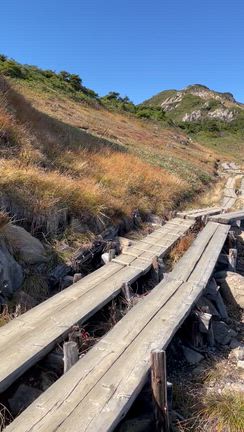 ２０２５年　１０月　尾瀬歩き⑤　すごいおじさんと出会った！の記事動画