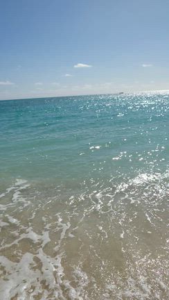 久米島の車海老が届いたよ〜の記事動画