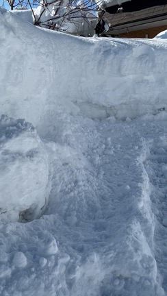 久しぶりの太陽で目が開かないの記事動画