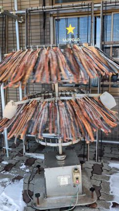 北海道旅行③の記事動画