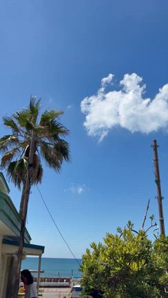 津波警報！の記事動画