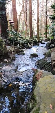 成田山新勝寺参詣いたしました!の記事動画