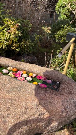 嗚呼　やっちまった谷中訪問①の記事動画