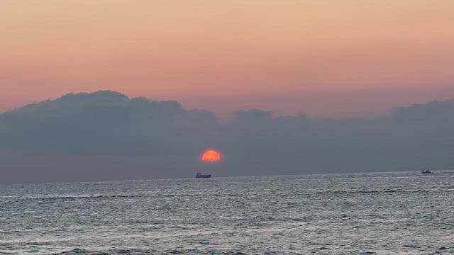 【日記】ロティサリーの記事動画